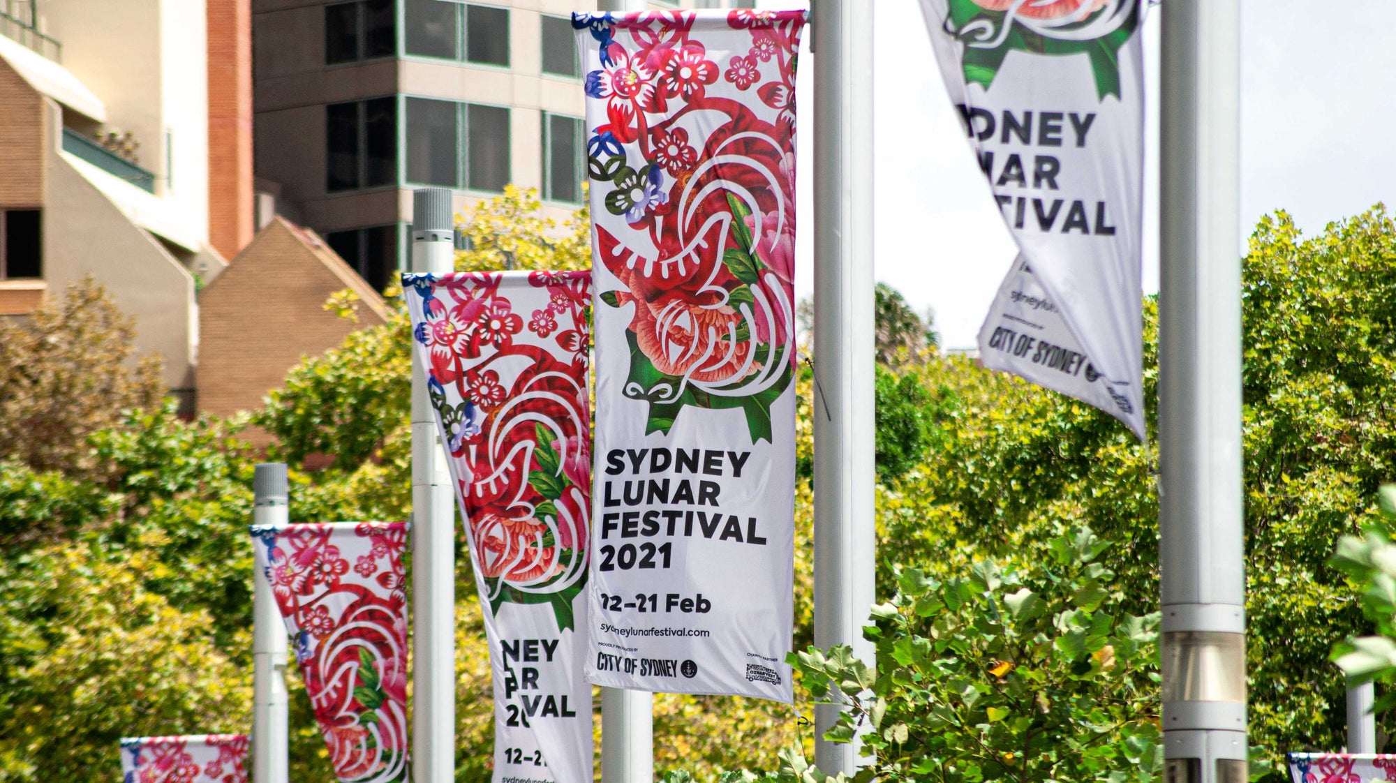Sydney Lunar Festival — Visual identity